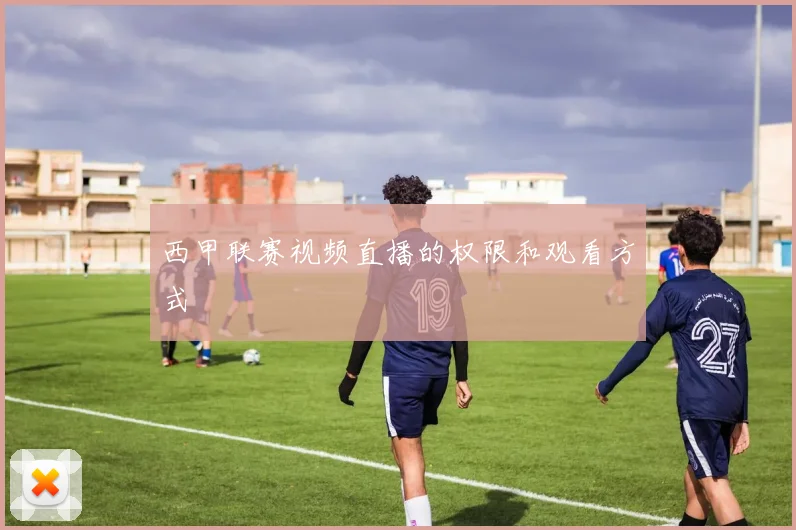 西甲联赛视频直播的权限和观看方式