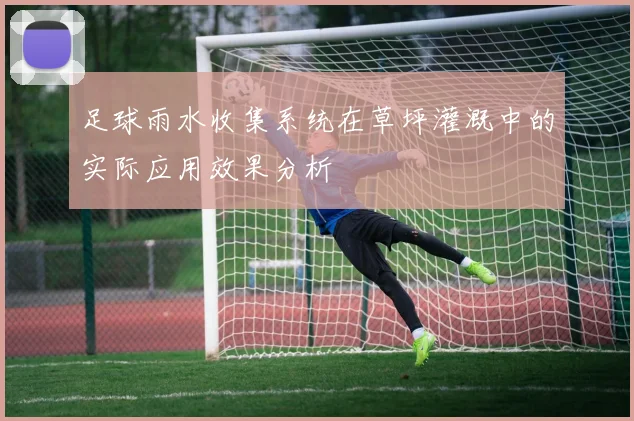 足球雨水收集系统在草坪灌溉中的实际应用效果分析